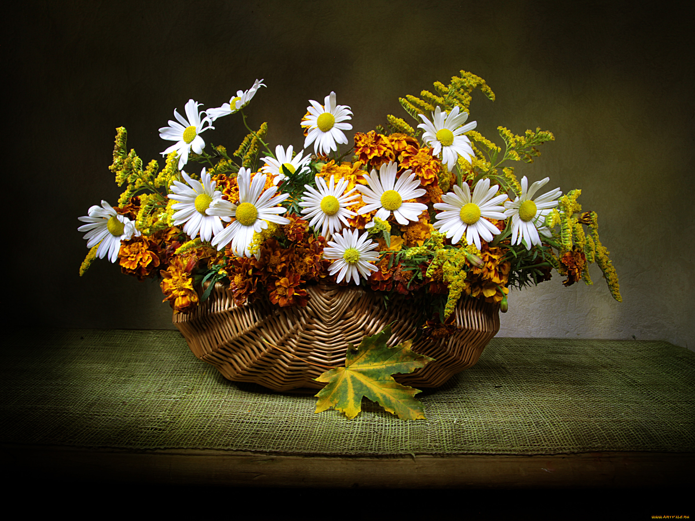 �����, ������,  ����������, �����